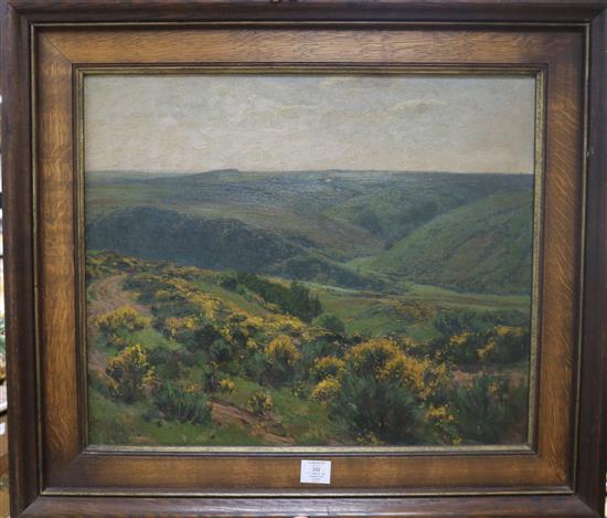 F. V. Wille, oil on canvas, heathland landscape, signed and dated 04 51 x 60cm